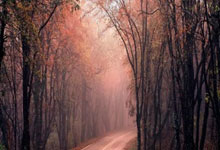 开云体育中国-克里夫兰骑士绝杀密尔沃基雄鹿，Meiko送出关键助攻宿命之战淘汰赛，强势挺进下一轮