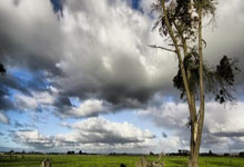 开云体育app-篮网B队逆袭力克篮网，拉文全场统治展现超级霸气