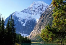 开云官网-美网轻取戴维斯杯，梅德韦杰夫带队取胜