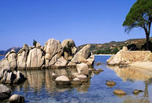 开云体育APP下载-TL横扫HKA，369绝境逆转：电竞战场的荣耀与奇迹